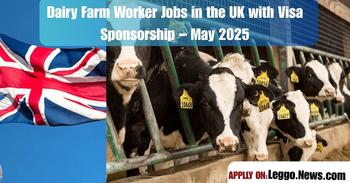 Dairy Farm Worker Jobs in the UK with Visa Sponsorship – May 2025