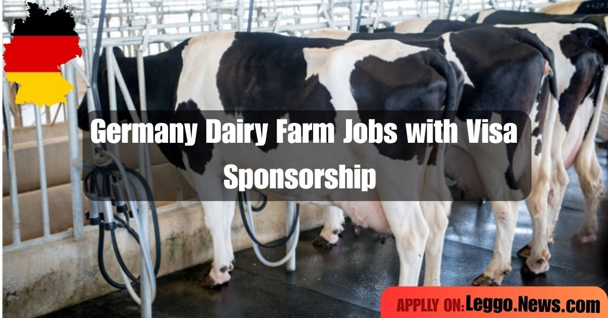Germany Dairy Farm Jobs with Visa Sponsorship in April 2025 – Your Gateway to a Rewarding Career