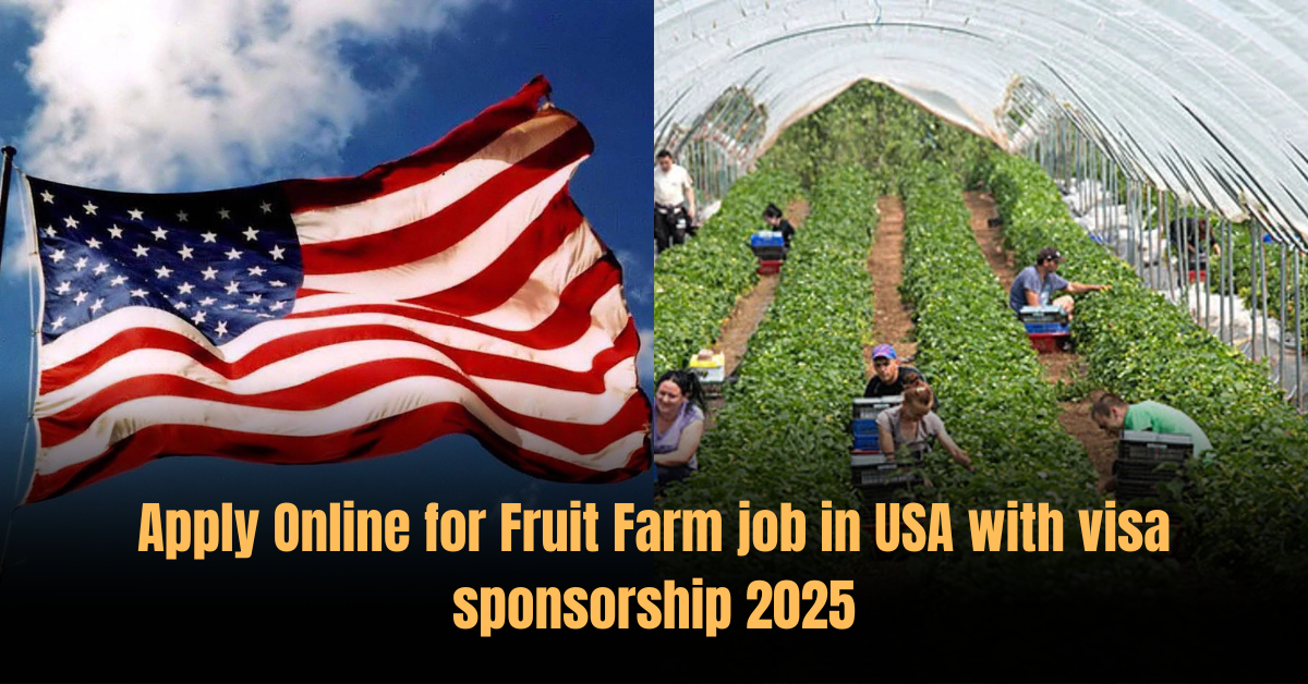 Apply Online for Fruit Farm job in USA with visa sponsorship 2025