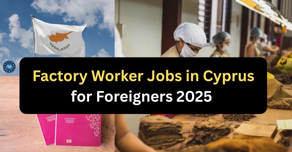 Factory Worker Jobs in Cyprus for Foreigners 2025